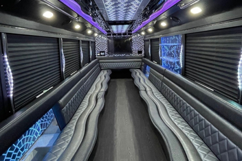 Las Cruces Party Bus Interior