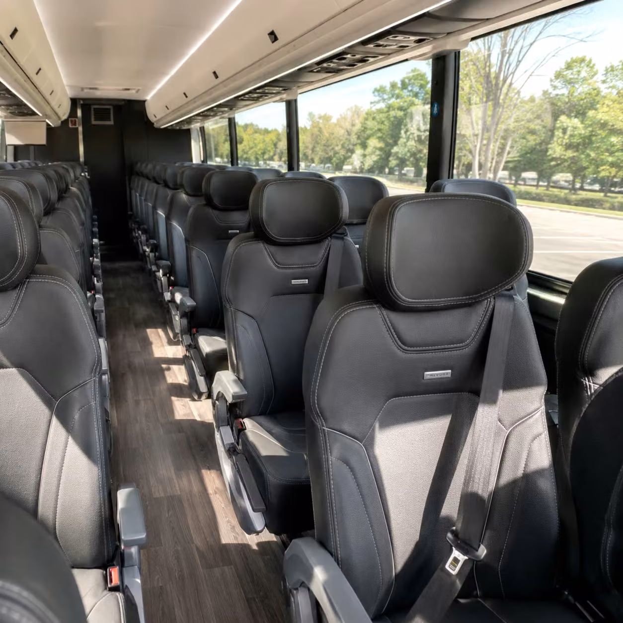 las cruces charter buses